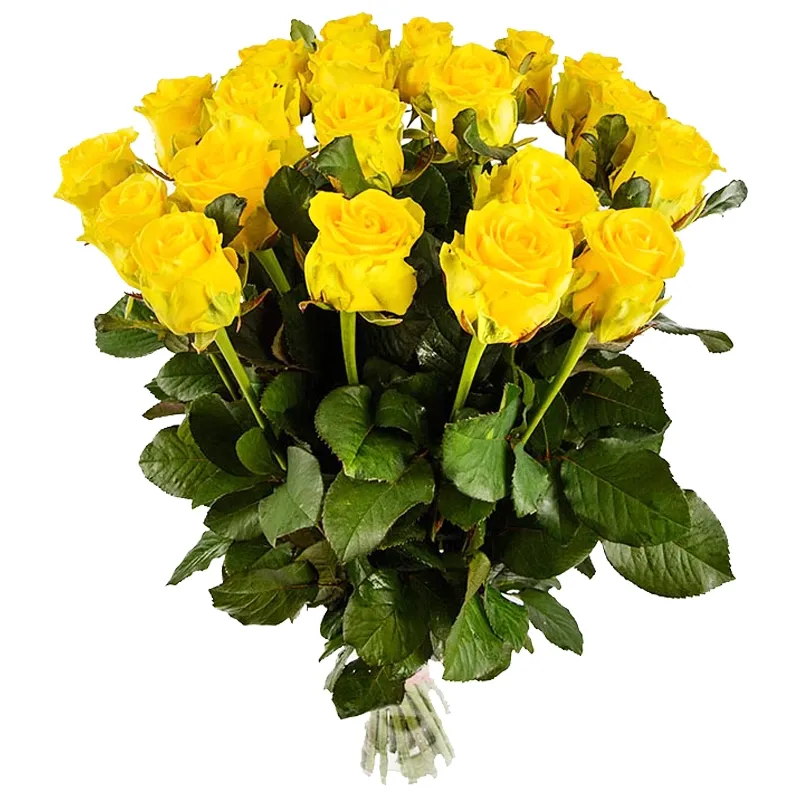Букет из 21 желтой розы эквадор (70 см)